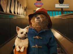 paddington (1)