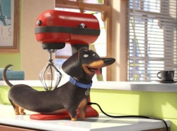 secretlifeofpets-01-l_1