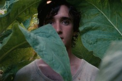 Srecen-kot-Lazzaro_01